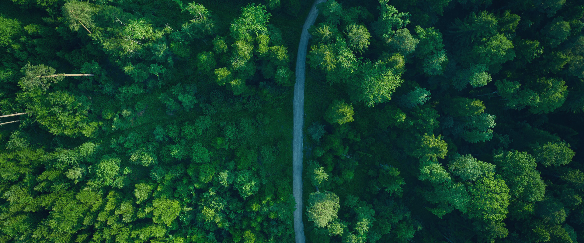 Sustainable Development